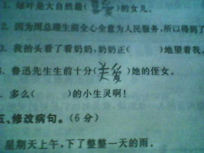 爱菜怎么组词