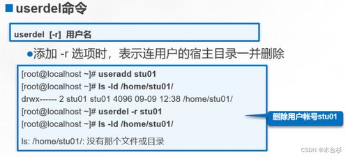 查除了检查还能怎么组词