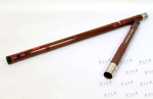 笛子组词怎么组