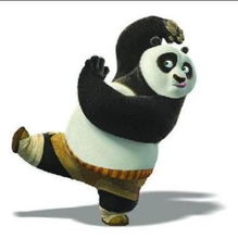 功夫熊猫怎么组词