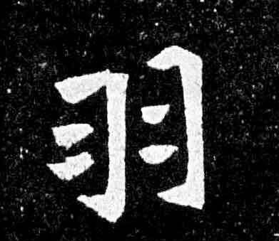 用羽组词