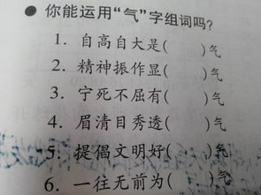 的气怎么组词