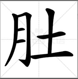 组词肚