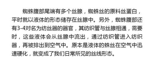 蜘蛛丝丝怎么组词