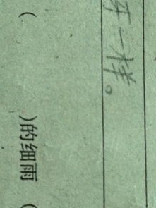 细雨的细怎么组词