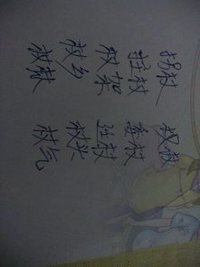 杖怎么组词是