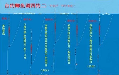 眼目的目该怎么组词