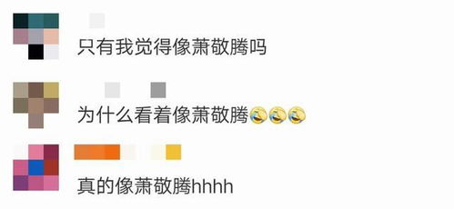 波东西的波怎么组词