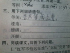 胡萝卜的波怎么组词造句 胡萝卜的波怎么组词造句