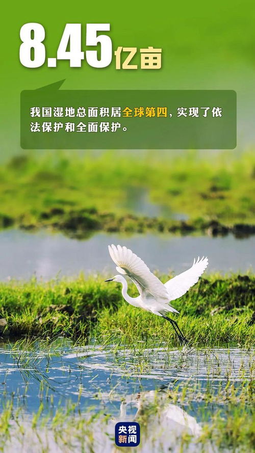 美好的美还可以怎么组词