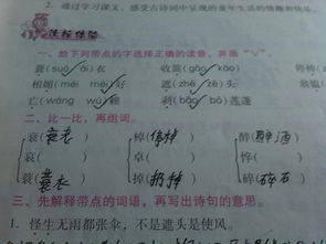 悬崖的芽还能怎么组词