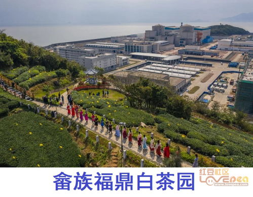 斯温村的村怎么组词的简单介绍