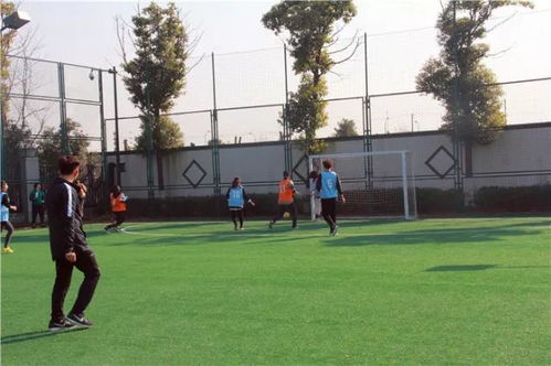 播放足球的足怎么组词啊