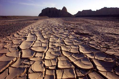 泥土的土怎么组词