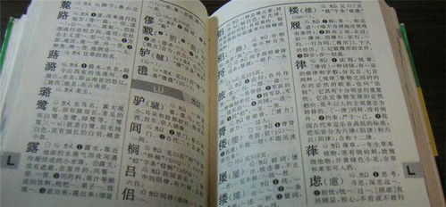 禾旁加个周怎么组词
