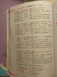 小度怎怎么组词语