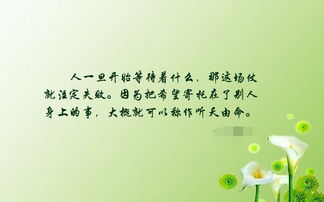 听的组词有哪些