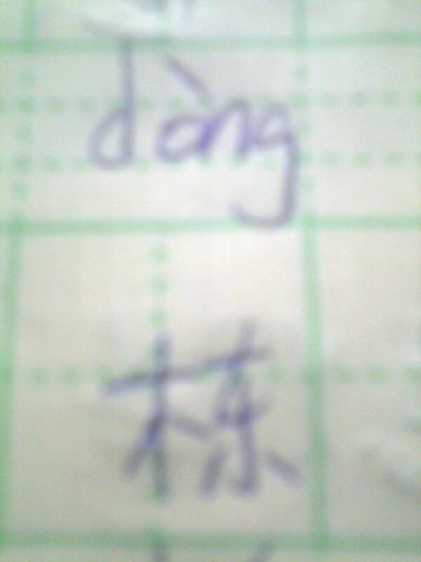 双字双字可以怎么组词