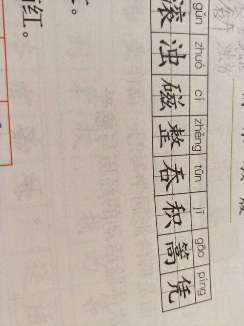 双字双字可以怎么组词