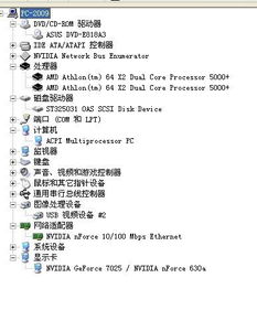 新的新新怎么组词 新的新新怎么组词