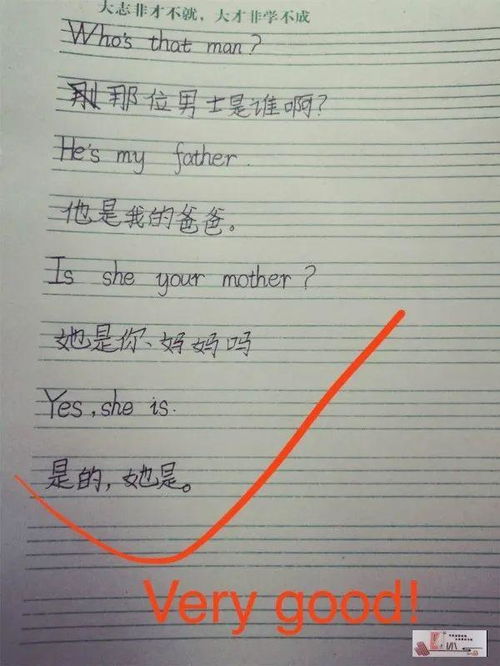 新的英语怎么组词