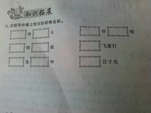 脑筋的筋怎么组词