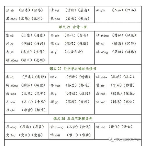 妙招怎么组词 妙招怎么组词