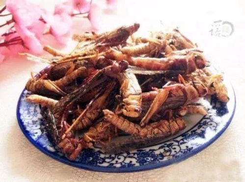 蚂蚱的炸怎么组词