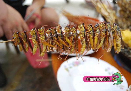 蚂蚱的炸怎么组词