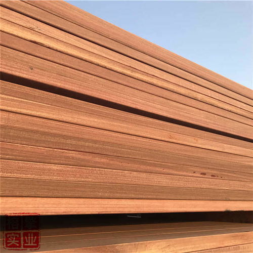 小度木组词怎么组