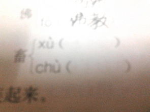 畜字可以怎么组词 畜字可以怎么组词