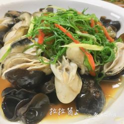蚝和林怎么组词
