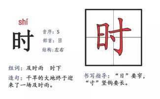 会偏旁结构组词怎么读