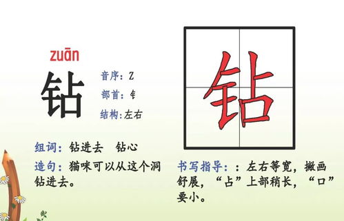 会偏旁结构组词怎么读