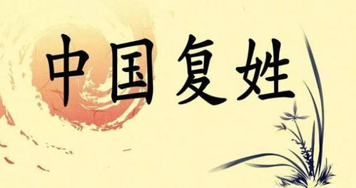 氏的姓怎么组词 氏的姓怎么组词