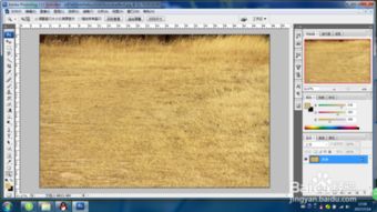 枯草的枯怎么组词呢