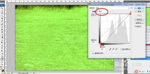 枯草的枯怎么组词呢