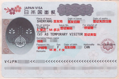 迁徙的签还可以怎么组词