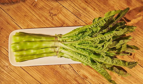 莴苣怎么读组词