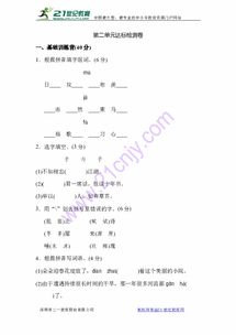 怎么组词束