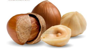 榛子的榛怎么组词