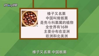 榛子的榛怎么组词