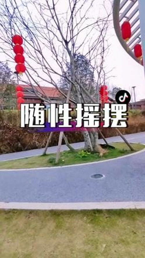 随性摇摆怎么组词啊