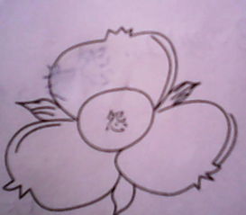 怨怎么组词 怨怎么组词