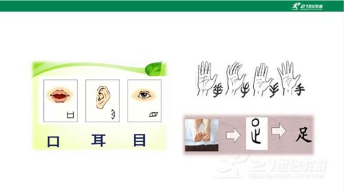 口耳目的目怎么组词