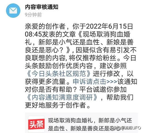 我们触到的触怎么组词