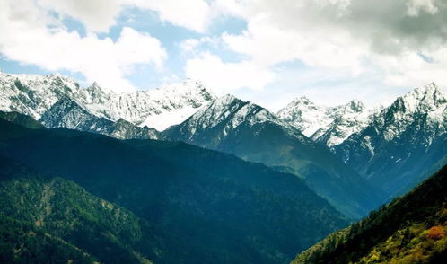 山峰的峰怎么组词