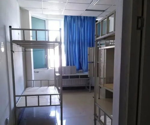 小度宿舍的宿怎么组词