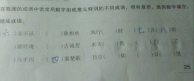 数字怎么组词语