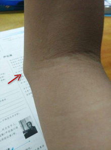 手的肘怎么组词呢